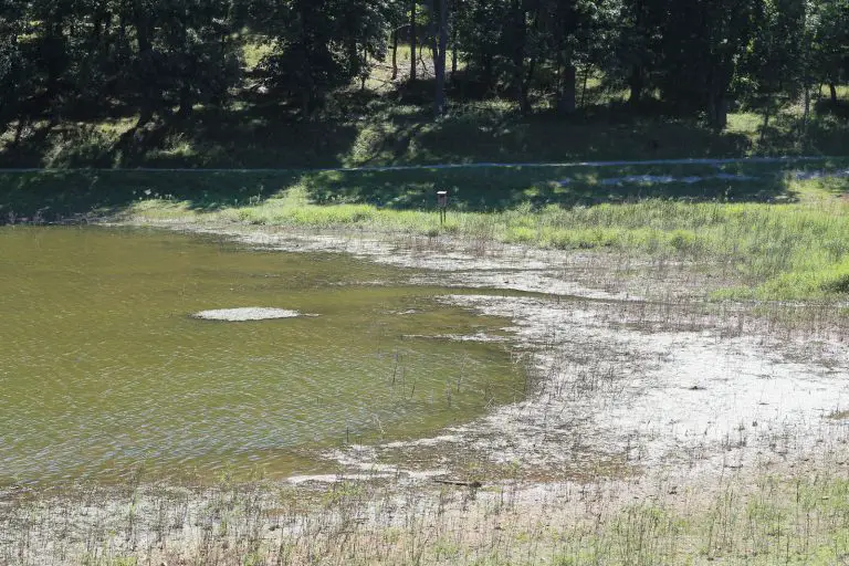 how far from shore bank to fish water level lower